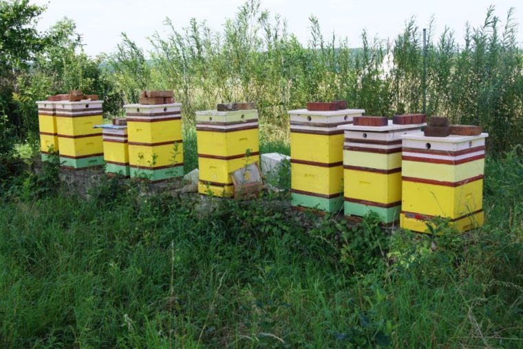 beehive